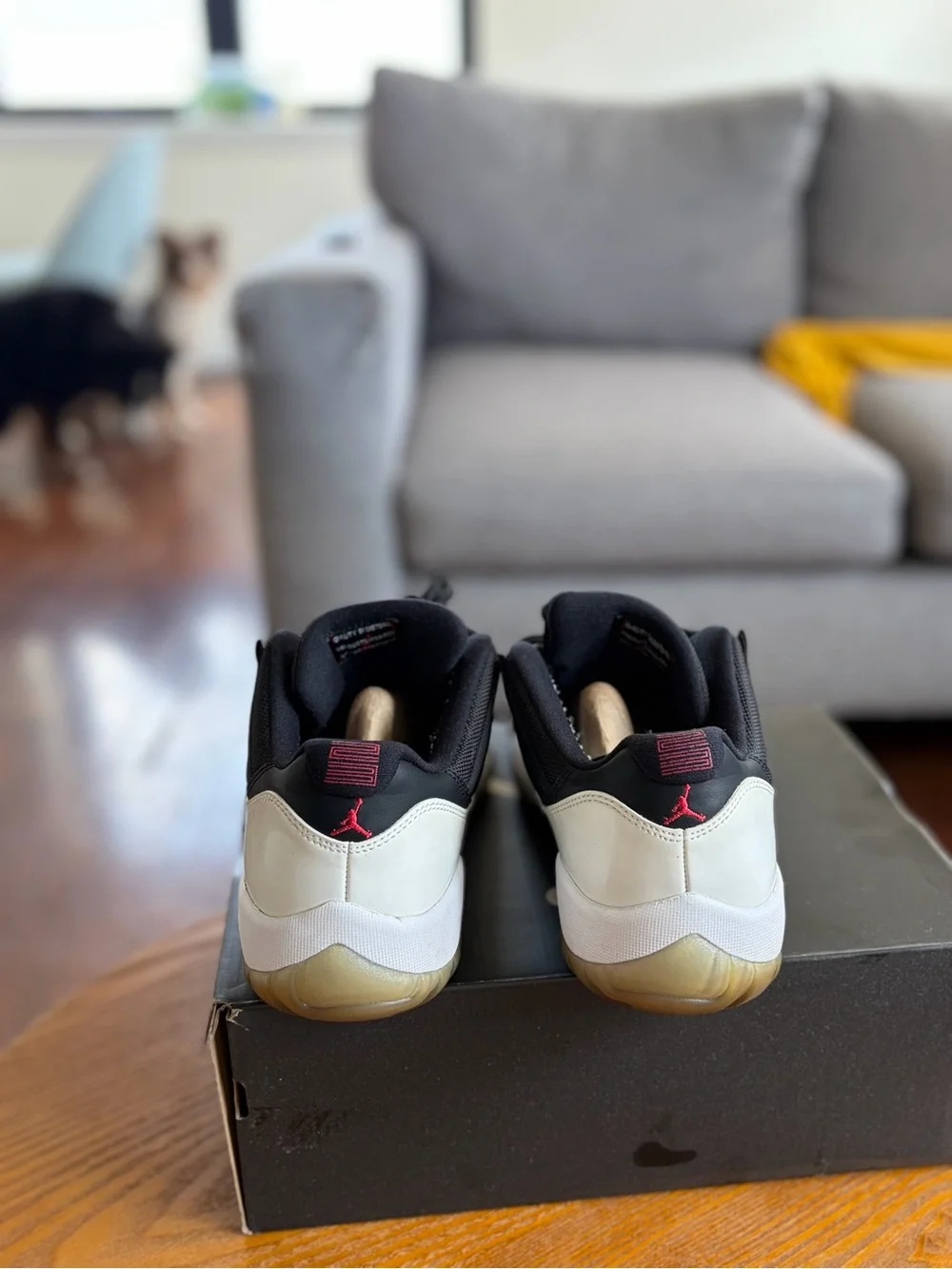 Jordan classic low